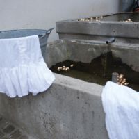 DSC_2887.jpg